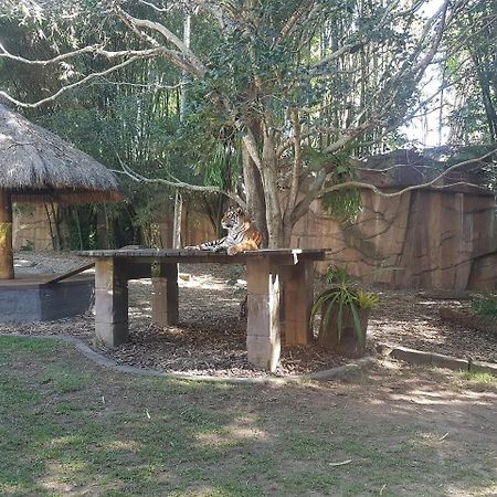 Beerwah Houseヴィラ エクステリア 写真