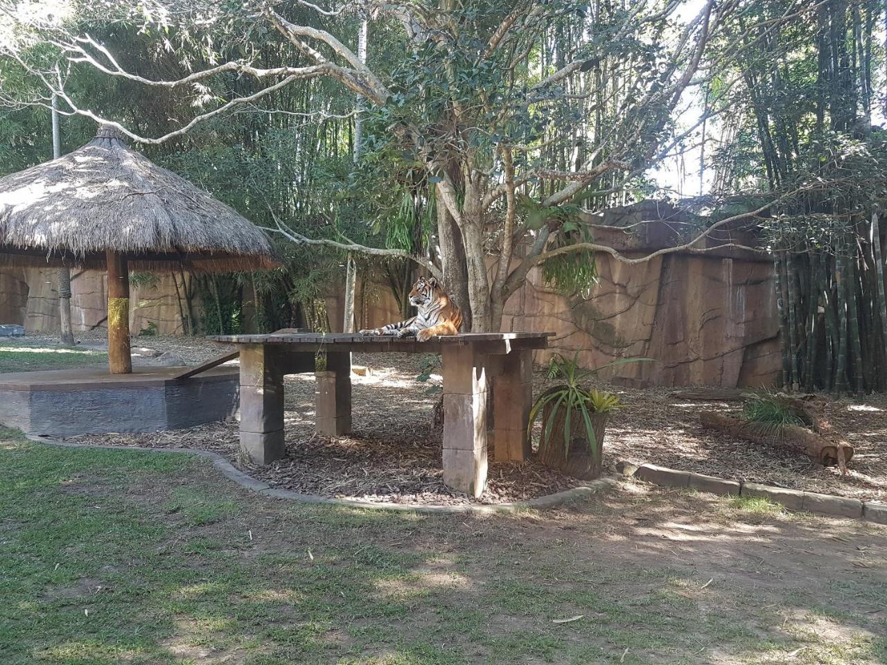 Beerwah Houseヴィラ エクステリア 写真