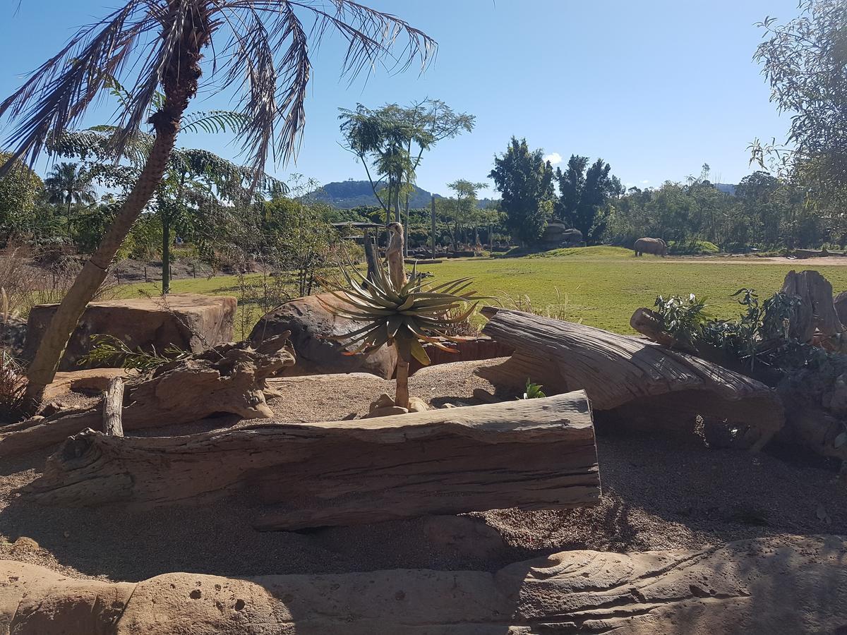 Beerwah Houseヴィラ エクステリア 写真